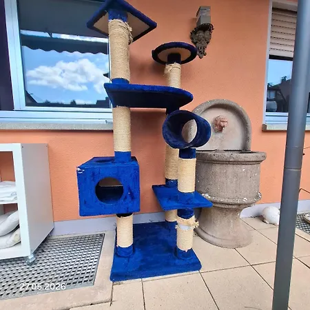 Casa Calali Haustierfreundlich U Barrierefrei Appartamento